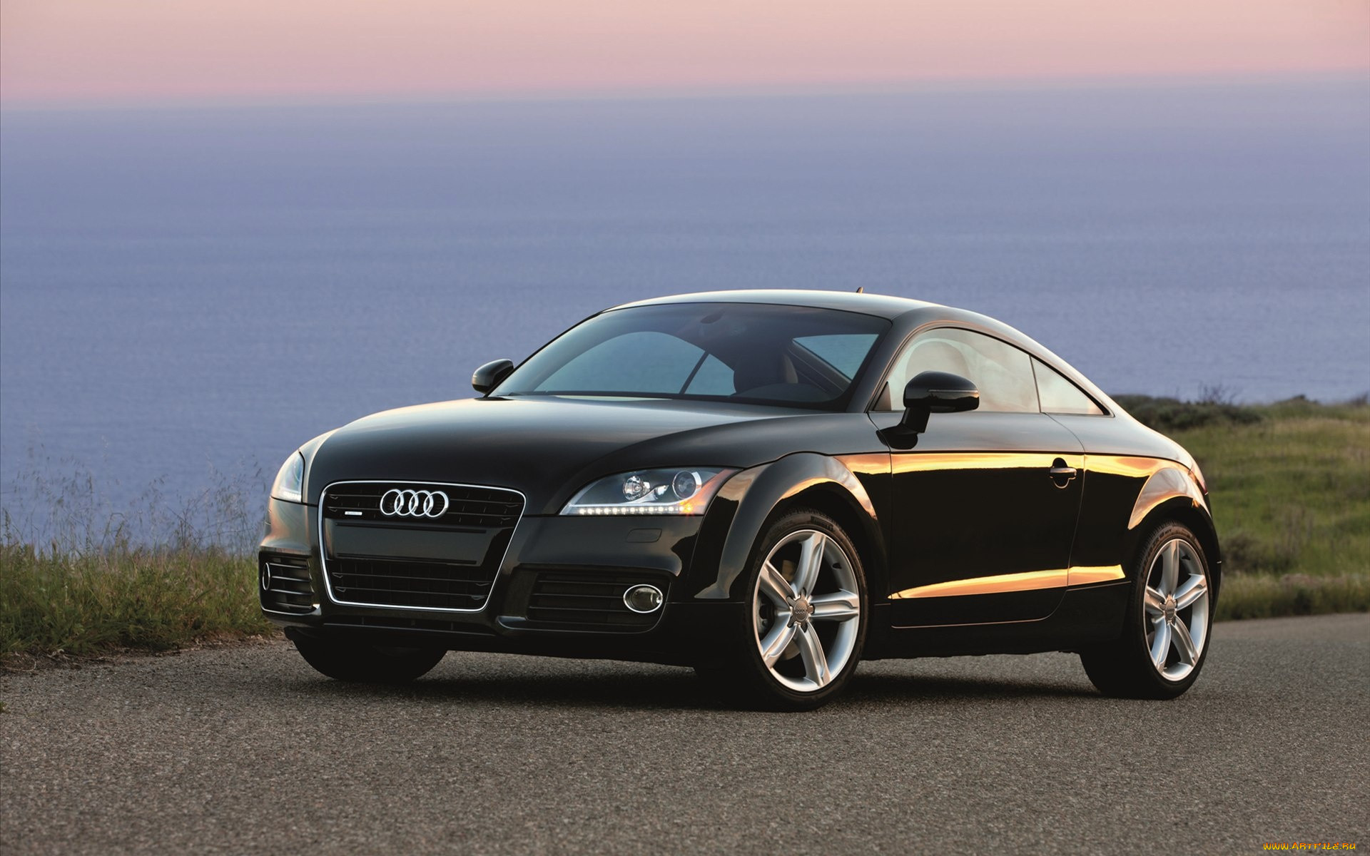 , audi